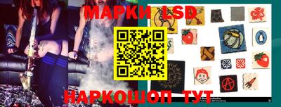 гидропоника Пенза
