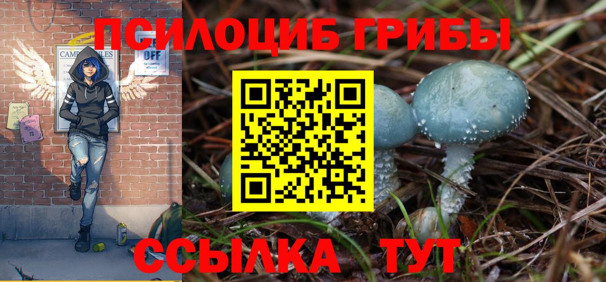Галлюциногенные грибы Cubensis Светлоград